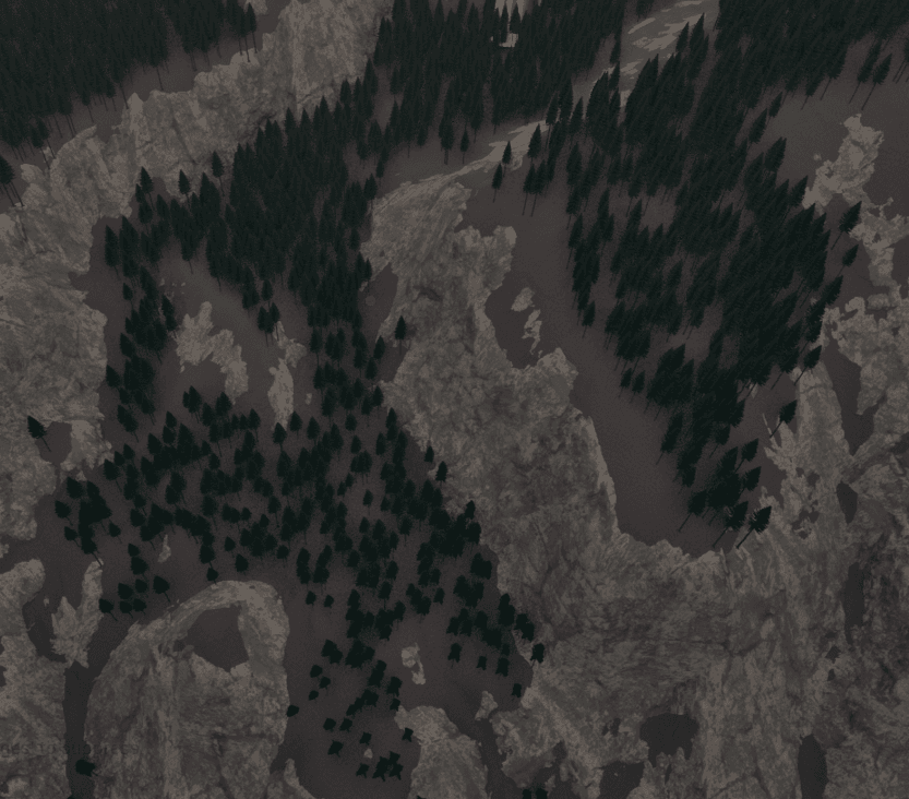 First Image