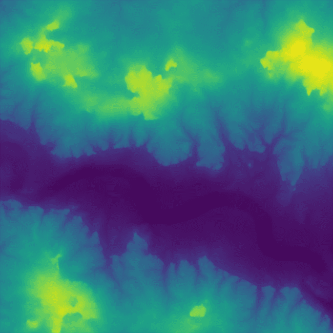 First Image