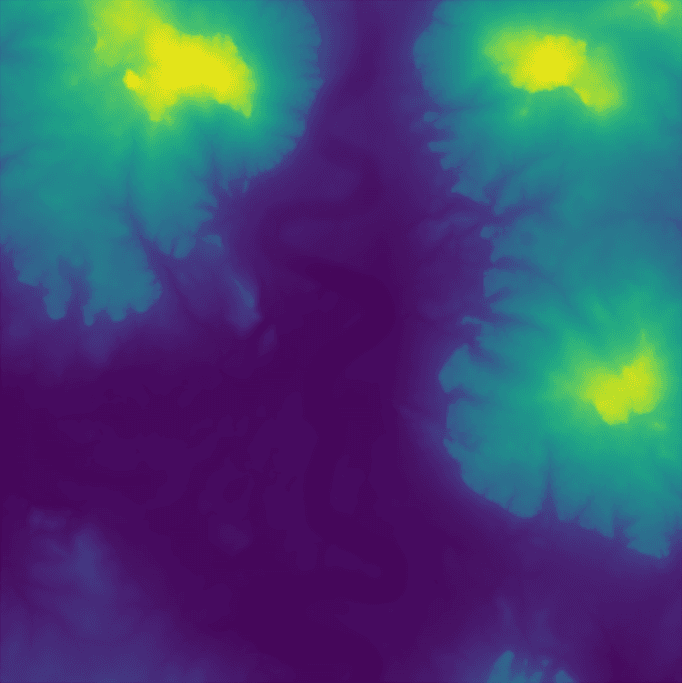First Image